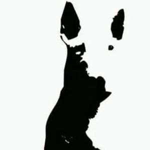 Meet your Posher, Gerardo